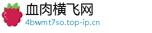 血肉横飞网
